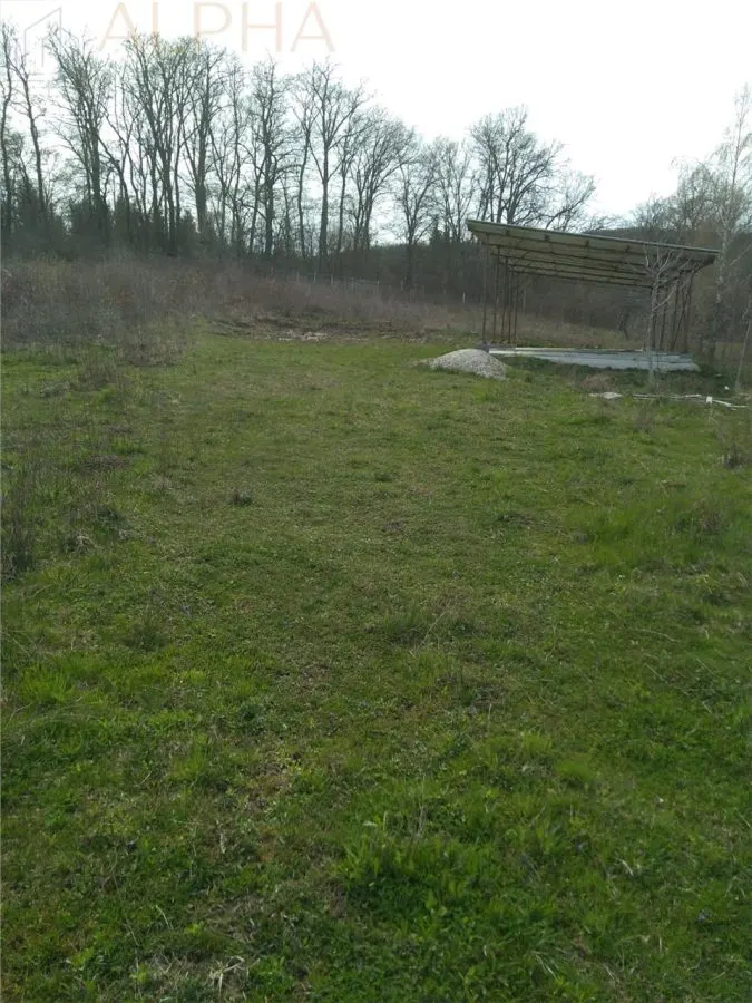 Teren extravilan de vanzare – Str. Ghinzii, Bistrita, BN - foto 3