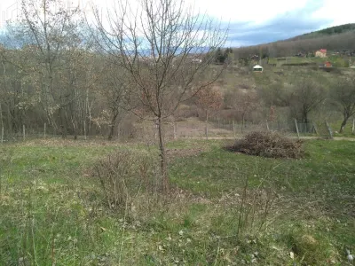 Teren extravilan de vanzare – Str. Ghinzii, Bistrita, BN - foto 4