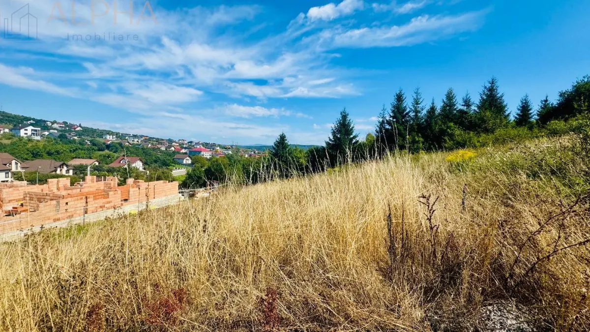 De vanzare teren intravilan 680 mp - Aleea Fagetului - foto 3