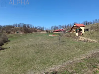 Pensiune cu Potential în Stramba + 32 ari teren - foto 2