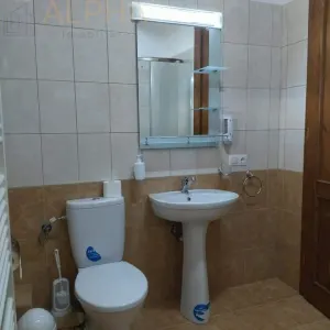 Pensiune cu Potential în Stramba + 32 ari teren - foto 12
