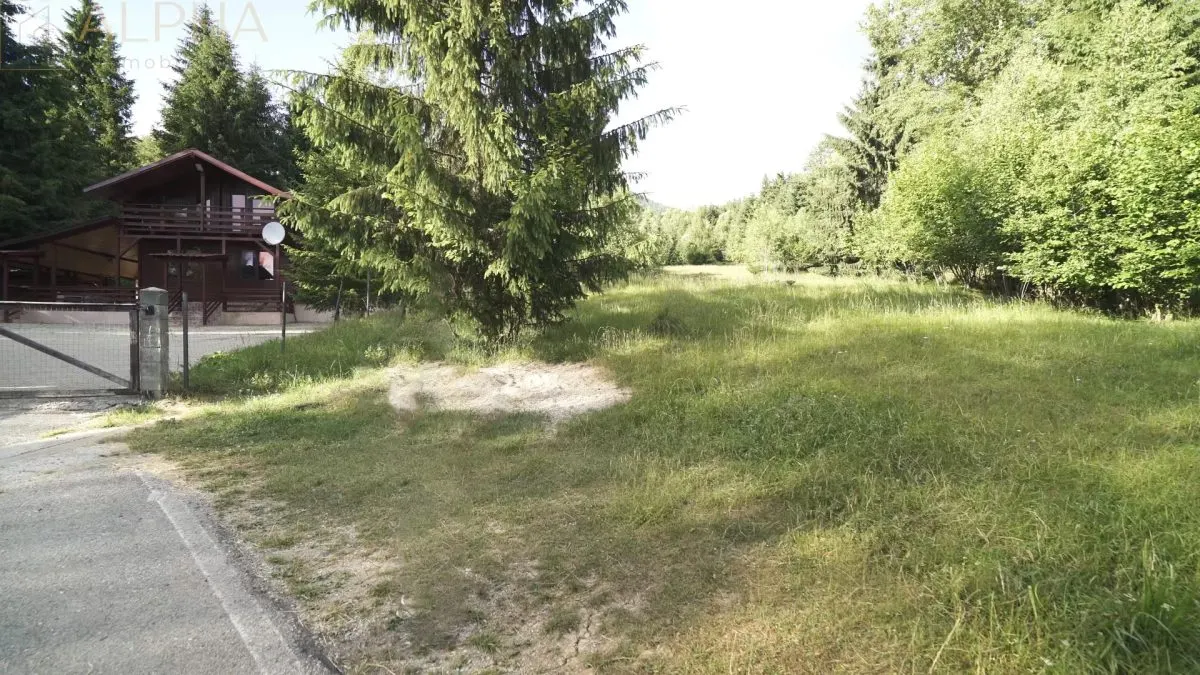 Teren Intravilan de 1.7 Hectare în Colibita - foto 1