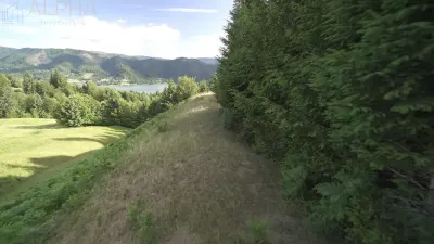 Teren Intravilan de 1.7 Hectare în Colibita - foto 4
