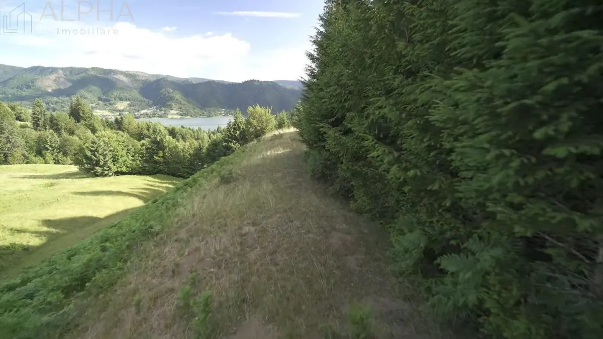 Teren Intravilan de 1.7 Hectare în Colibita - foto 4