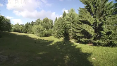 Teren Intravilan de 1.7 Hectare în Colibita - foto 6