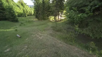 Teren Intravilan de 1.7 Hectare în Colibita - foto 8