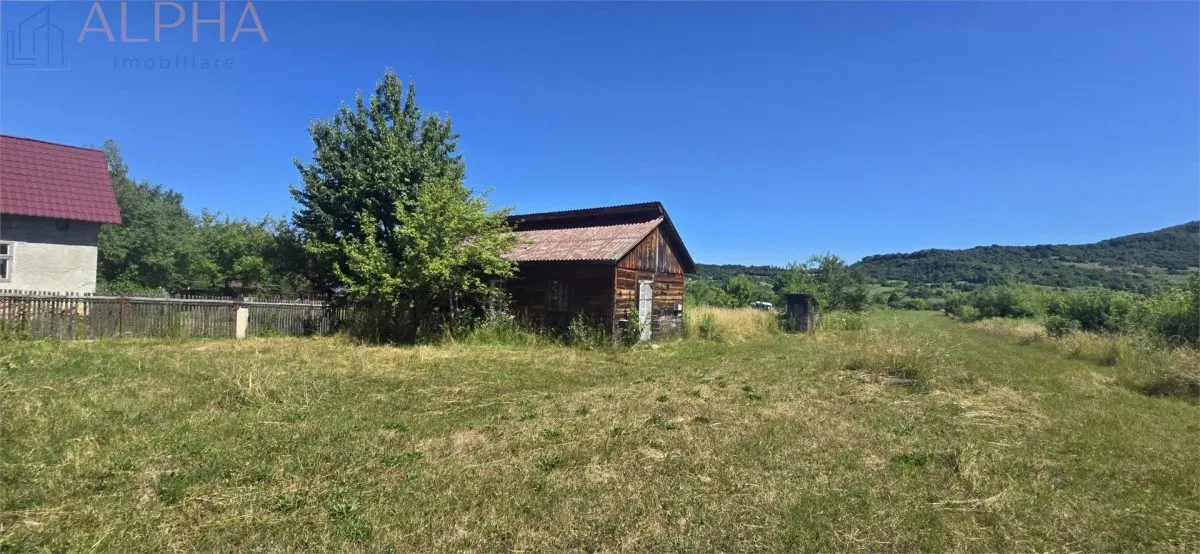 Casa cu teren 5900 mp str. Ghinzii sub padure - foto 4