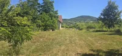 Casa cu teren 5900 mp str. Ghinzii sub padure - foto 6