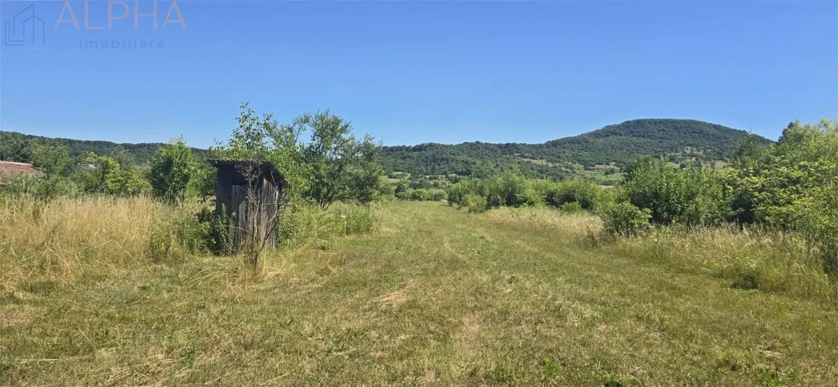 Casa cu teren 5900 mp str. Ghinzii sub padure - foto 7