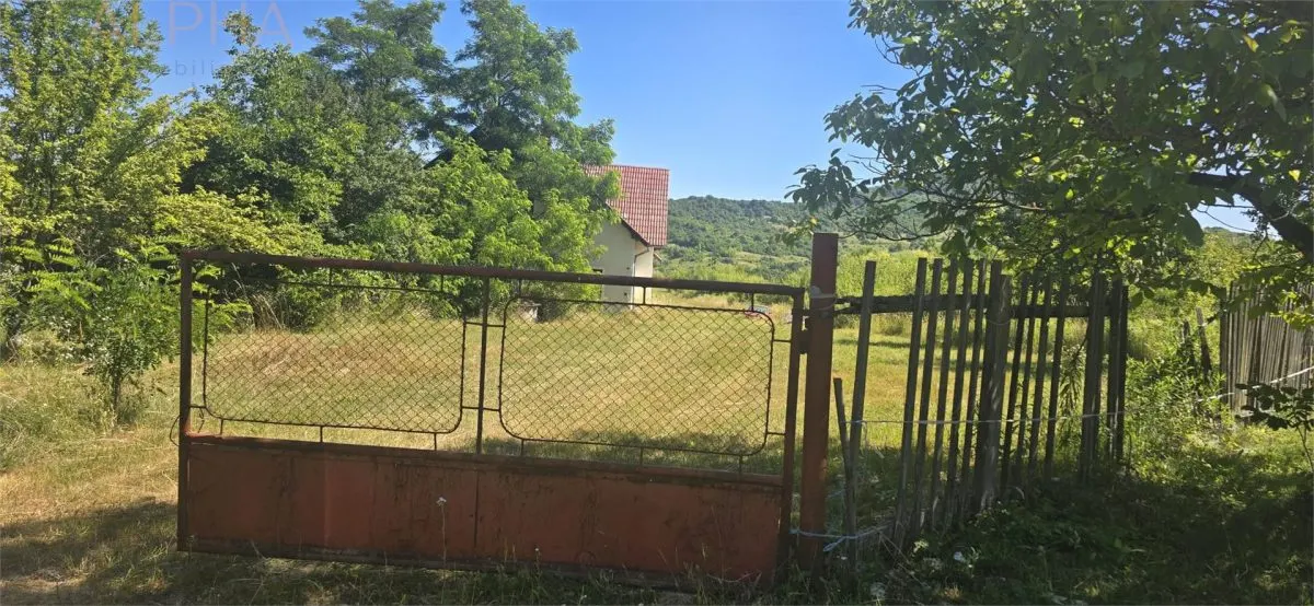 Casa cu teren 5900 mp str. Ghinzii sub padure - foto 8