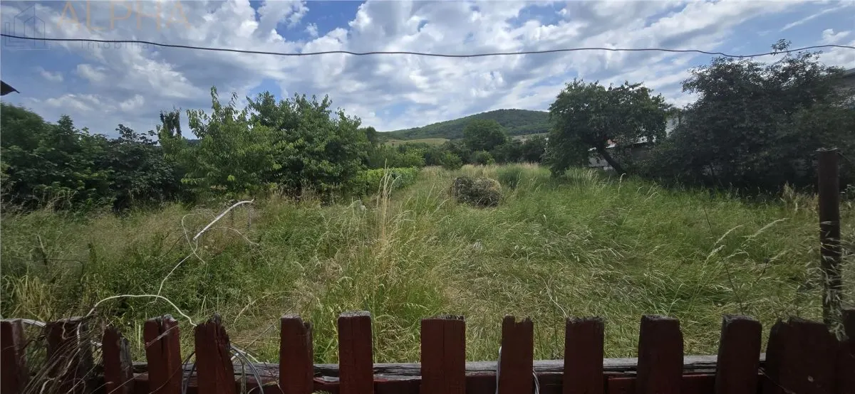 Casa renovata de vanzare Crainimat , BN cu teren 3148 mp - foto 14