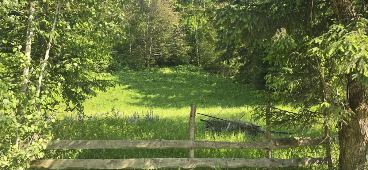 Teren intravilan de vanzare in Colibita - foto 1