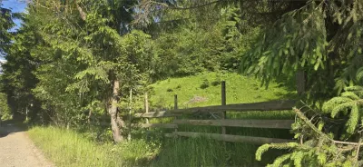 Teren intravilan de vanzare in Colibita - foto 3
