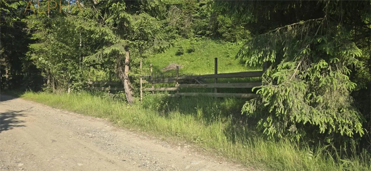 Teren intravilan de vanzare in Colibita - foto 6