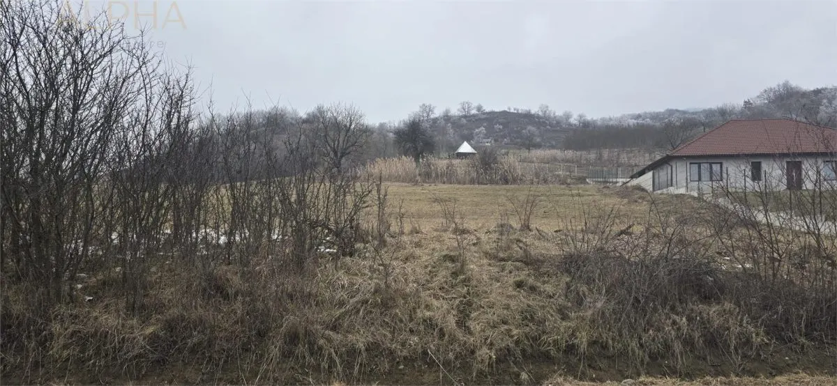 Teren Intravilan la Intrare in Ghinda -  15 ari  la drumul asfaltat cu toate utilitatile - foto 1