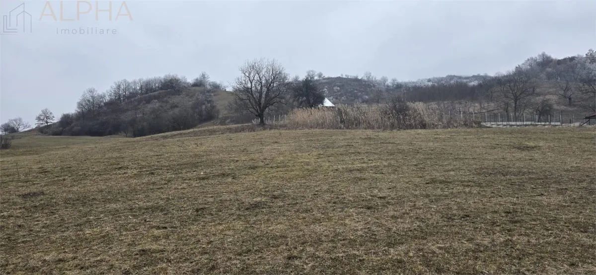 Teren Intravilan la Intrare in Ghinda -  15 ari  la drumul asfaltat cu toate utilitatile - foto 3