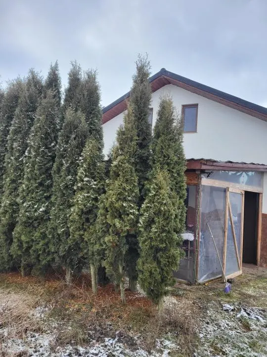 Casa de vanzare Herina - foto 2