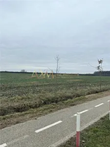 Teren, la padure, Giroc - foto 2