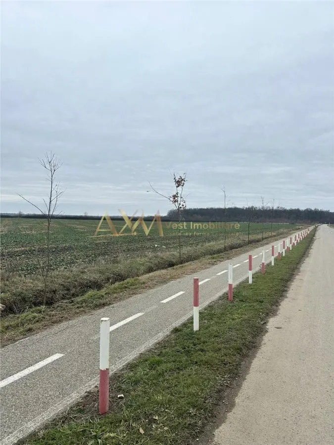Teren, la padure, Giroc - foto 3