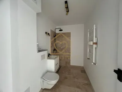 Apartament 2 cam sau spatiu de birou parter Stefan cel mare - foto 5