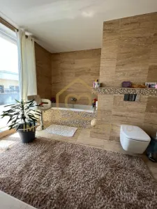 Penthouse de lux cu 6 camere, 3 locuri de parcare, zona Europa - foto 11