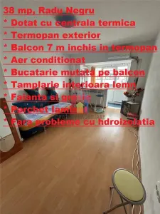 1 camera, Spatios, 38 mp, Radu Negru Mobilat si utilat - Braila