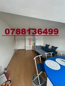1 camera, Spatios, 38 mp, Radu Negru Mobilat si utilat - foto 2