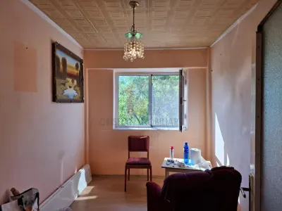 3 camere DECOMANDAT, 67 mp, 2 bai, Viziru 1 - Pistruiatu - foto 3