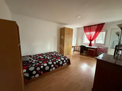 Apartament 1 camera in Podul de Fier Tg Cucu - foto 1