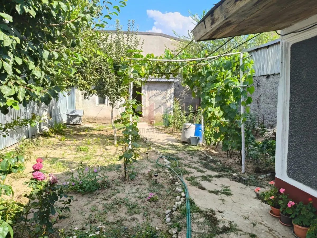 Radu Negru - Buzaului, Casa 4 cam Teren - 264 mp - foto 4