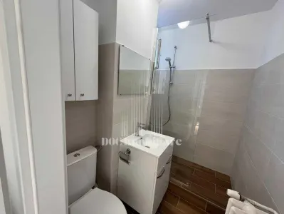 Inchiriere apartament cu doua camere Piata Victoriei I Gara de Nord I Sector 1 - foto 5