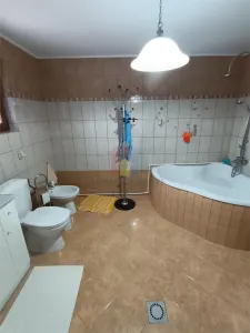 Casa, zona Brailita, 3 camere, Boltari si Paianta - foto 7
