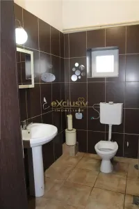 Exclusivitate - Hala de inchiriat Cristian - foto 12