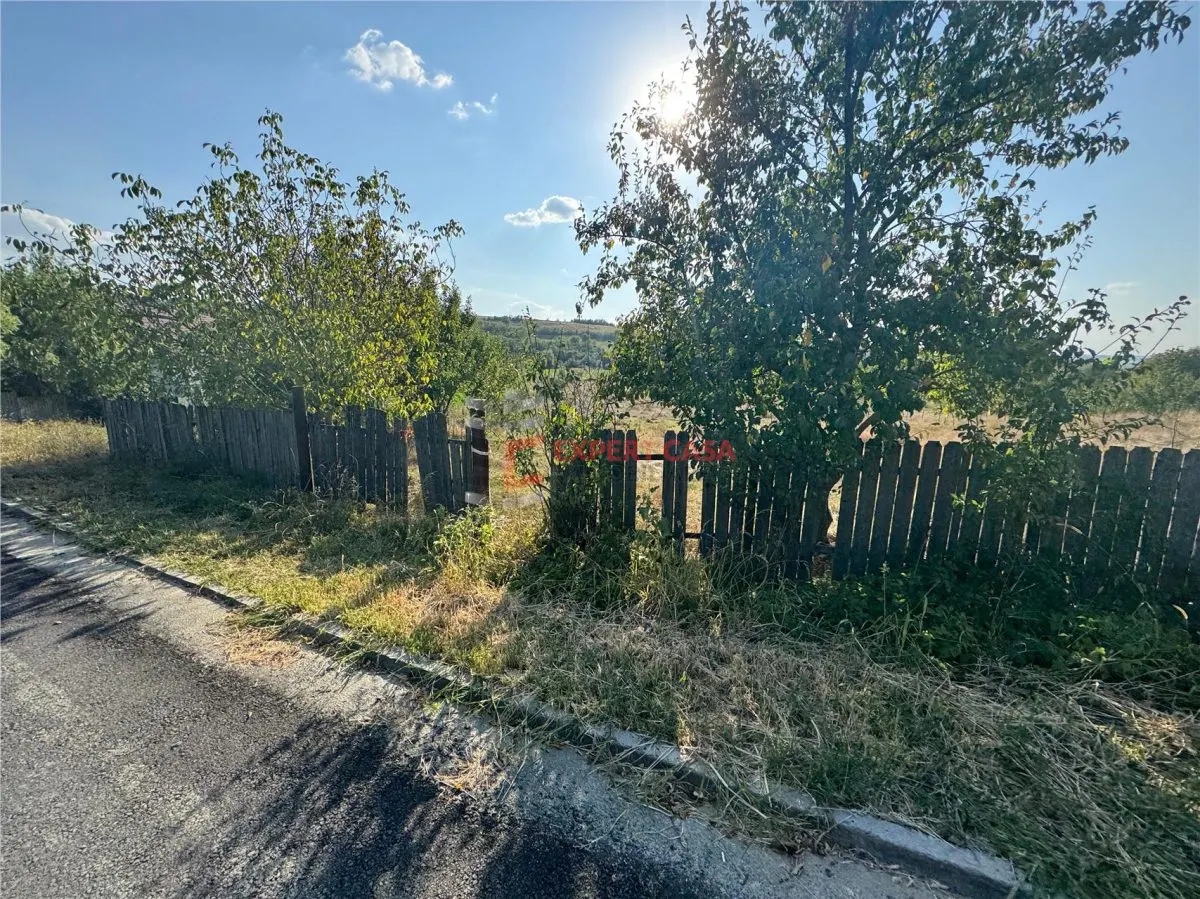 Teren intravilan Barnova Todirel - foto 7