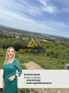 Teren cu priveliste spre oras, Miron Costin - Baia Mare