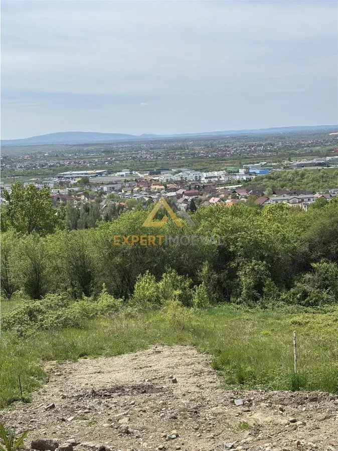 Teren cu priveliste spre oras, Miron Costin - foto 2