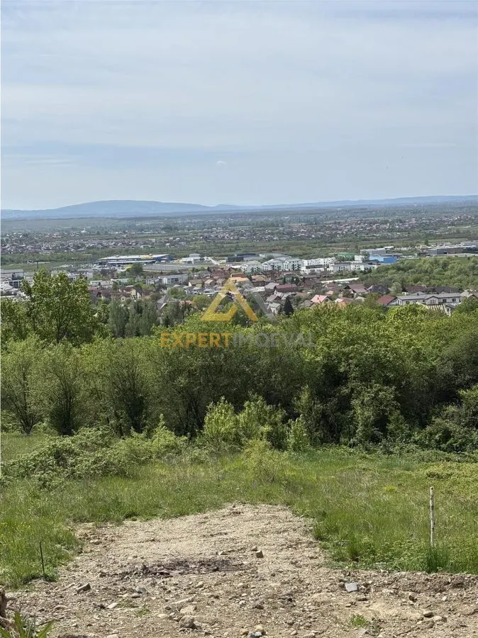 Teren cu priveliste spre oras, Miron Costin - foto 3
