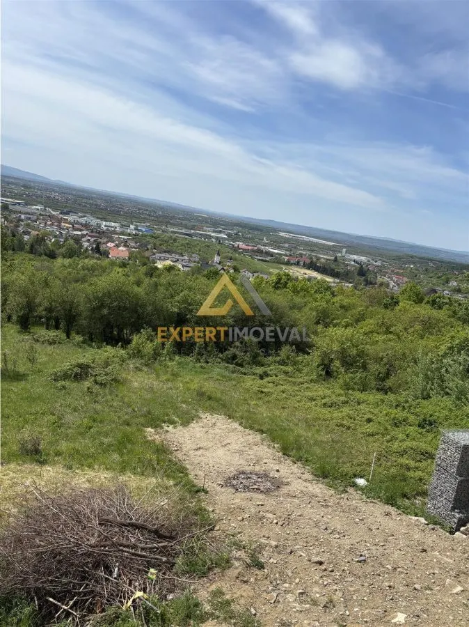 Teren cu priveliste spre oras, Miron Costin - foto 4