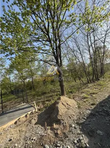 Teren intravilan 667 mp strada 11 Tautii Magheraus - foto 2