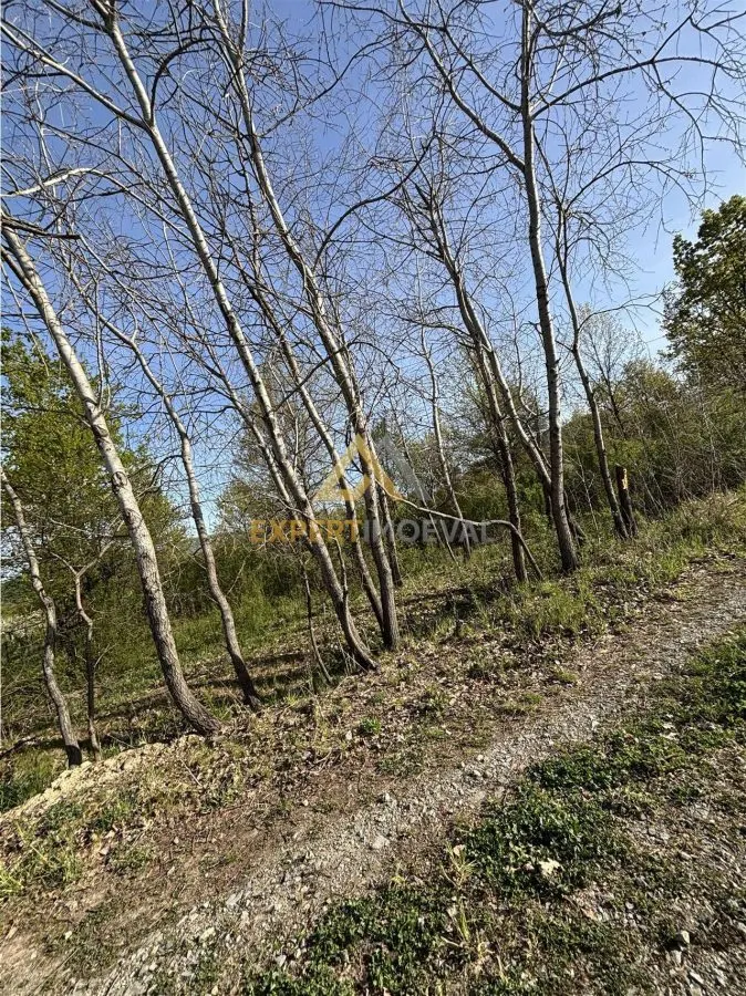 Teren intravilan 667 mp strada 11 Tautii Magheraus - foto 5