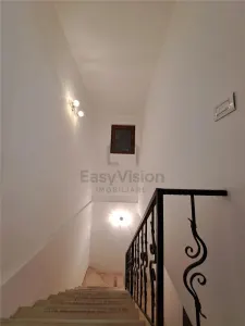 Duplex 5 cam Bazilescu | Metrou Laminorului - foto 8