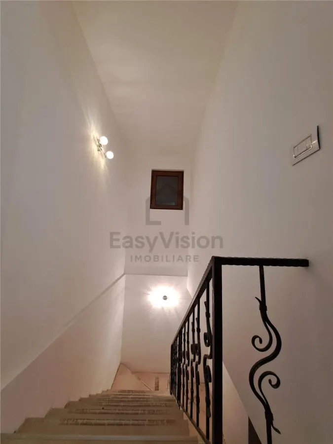 Duplex 5 cam Bazilescu | Metrou Laminorului - foto 8