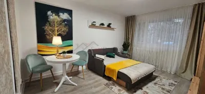 Garsoniera Drumul Taberii , Favorit. - foto 10