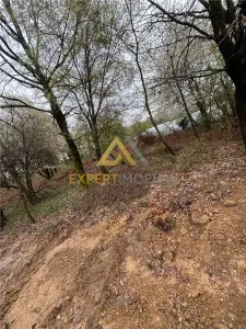 Teren intravilan in spate la Castel Transilvania 1.000mp - foto 4