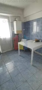 Ap.3 cam, cf.1, SD, Victoriei, Terasa de 7m, zona linistita - foto 4