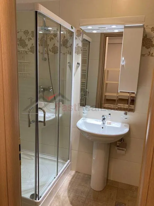 Apartament 2 camere Baneasa(Sisesti) - foto 5