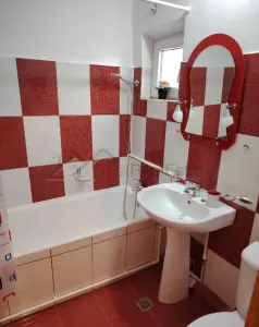 Apartament 3 camere LUX zona Gorjului - foto 9