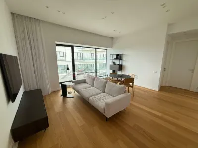 Apartament 2 camere, 2025, Floreasca. - foto 2