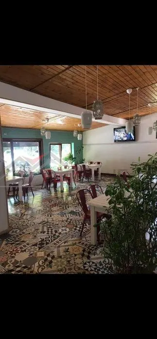 Spatiu Comercial (restaurant) - foto 5