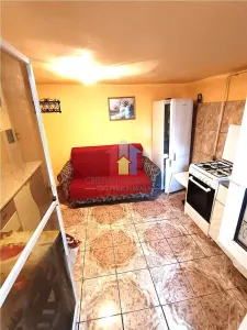 Casa 5 camere Pretabila 2 Familii, Bld Dorobantilor - foto 11